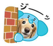 862861000
