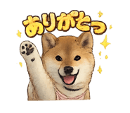 862861139