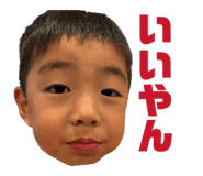 862861244