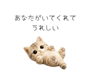 862862161