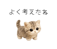 862862169