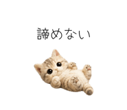 862862170