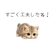 862862181