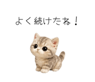 862862182