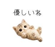 862862183
