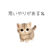 862862184