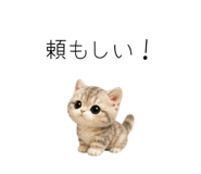 862862187