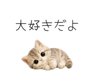 862862193