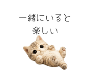 862862195