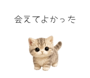 862862198