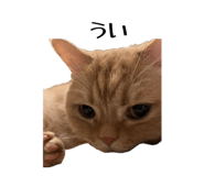 862862939