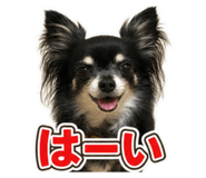 862863164