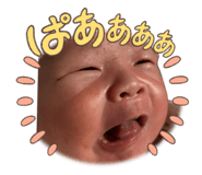 862864489