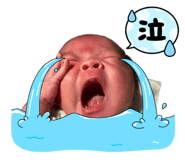 862864491