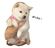 862864715