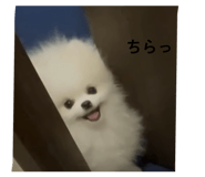 862864717
