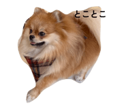 862864719