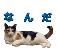862865038