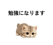 862865087