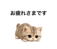 862865091