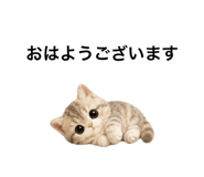 862865093