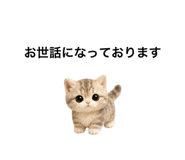 862865094
