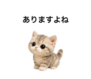 862865104