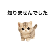 862865105