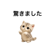 862865107