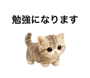 862865109