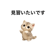 862865113