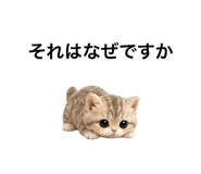 862865116