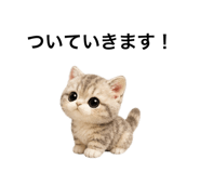 862865120