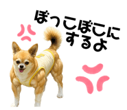 862865137