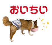 862865140