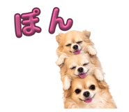 862865151