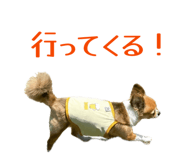 862865153
