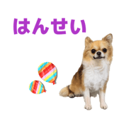 862865154