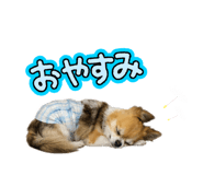 862865158