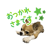 862865159