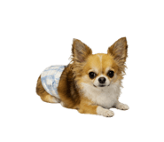 862865168