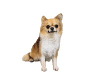 862865170
