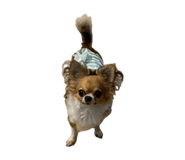 862865175