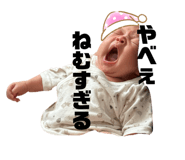 862865504