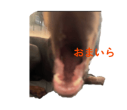 862866322