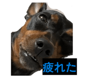 862866324