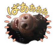 862866327