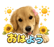 862866962