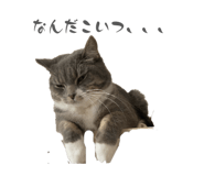 862867443