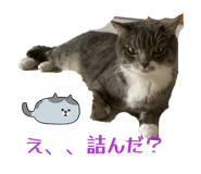 862867449
